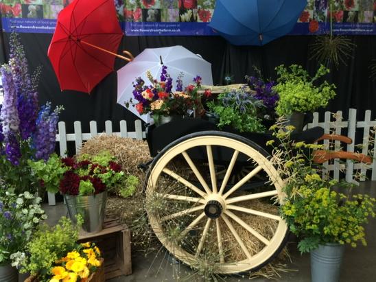 Flowers_ft_Farm's tweet photo. Here's our #Britishflowers display @greatyorkshow
Thank you to @Gardenflwrs
Claire #PearTreeHouse + @thepatientmole http://t.co/EJ4fZOUHnf