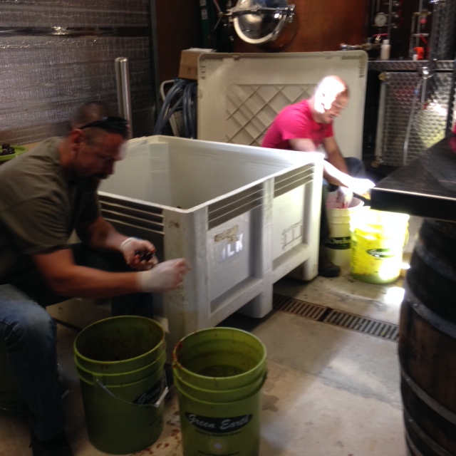 Pasoportwine's tweet photo. Locally grown&soon to be distilled! Sweet smell of plums in the distillerL:. #Pendraysdistillery #pasodistillerytrail http://t.co/gTwzQv4Ksb