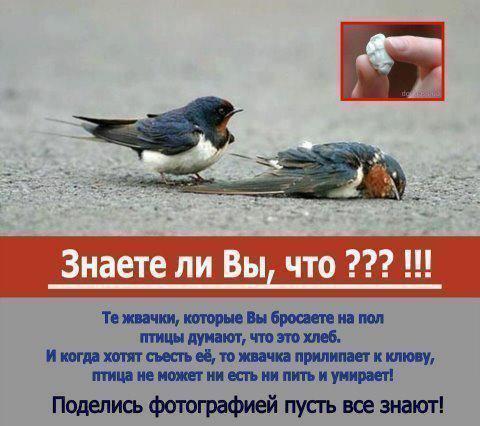 Divstore tweet media