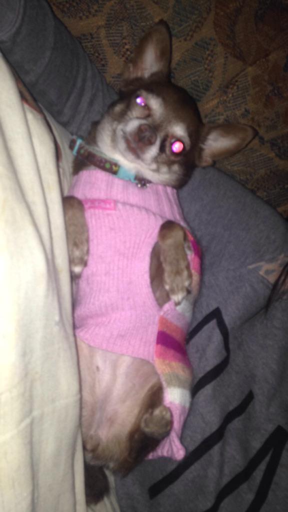 megantincher's tweet photo. @Kaiya__Johnson when ur forced to wear that ugly sweater ur grandma got you for Christmas http://t.co/6g9ksKXfVT