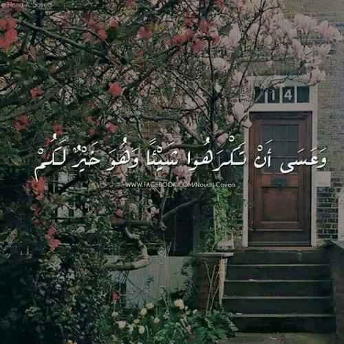 ربنا بيقولك ..اطمن  ❤️  CJ0NLStUwAAojrF