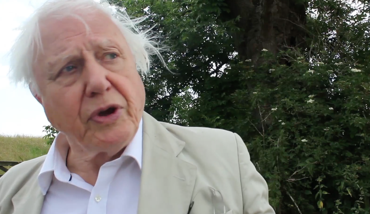 BBCEarth's tweet photo. Sir David Attenborough on the importance of citizen science http://t.co/sIkOdzjWSx http://t.co/ZyZ4vkj3U7