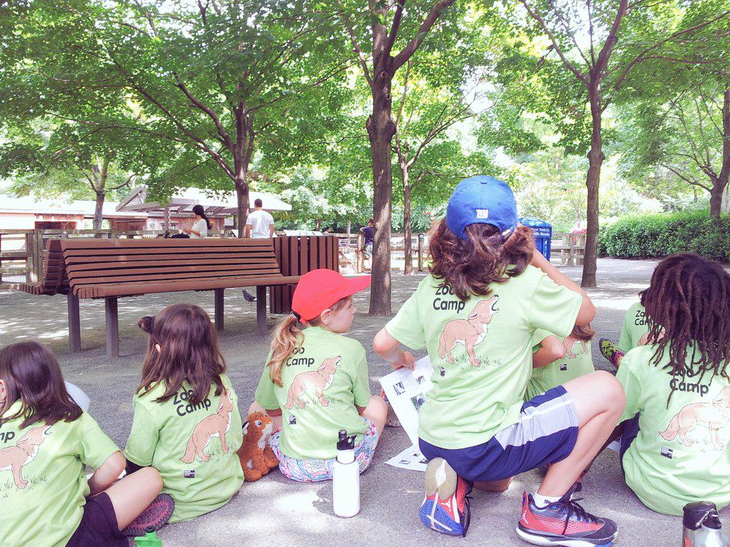 Queens Zoo campers out searching for urban wildlife! @thequeenszoo #qzsummercamp #zooexplorers #birding