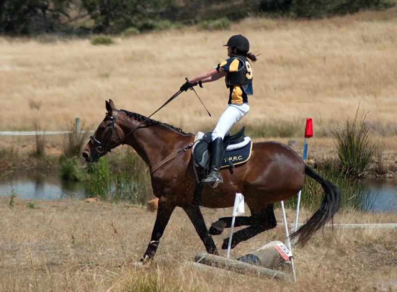 ChronofHorse's tweet photo. Who's excited for #MissedItMonday?! Click for a recap of the week's best stories and news: http://t.co/lwbX54Os6w http://t.co/wQde03j68D