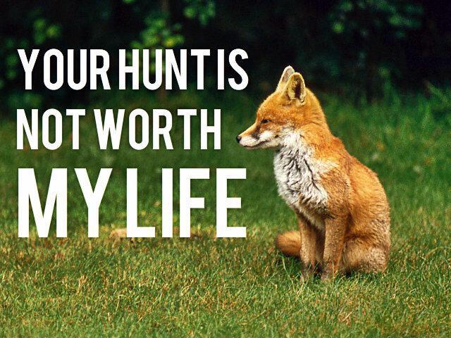 PETAUK's tweet photo. "We totally oppose fox hunting..." 

SNP to vote to #KeepTheBan.
http://t.co/5gkXsHAC1r http://t.co/McEh2jMOfH