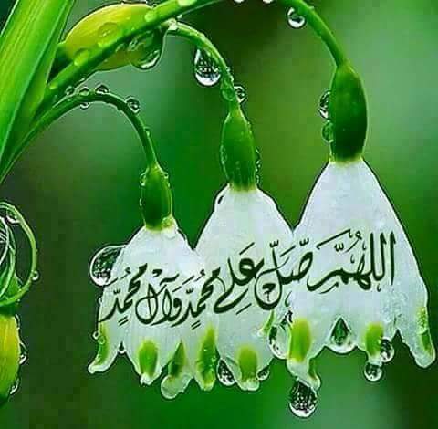 @husseinalthamer @Fati_MSA_ <a href="/hazemhikmat2/">ابوكرار</a> <a href="/almajed_alfarok/">الكوثر</a> <a href="/981Muna/">شيعية وافتخر</a>