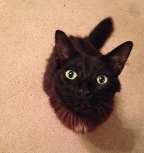 TLCEditor's tweet photo. @1037theq Me because how could you say no to this face? #JustShowUpShow @echosmith #LoveTheQ http://t.co/JrEKxbLMSv