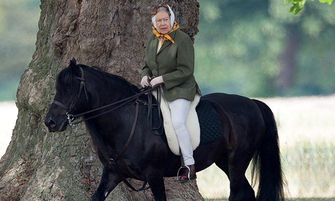 приехали на коне