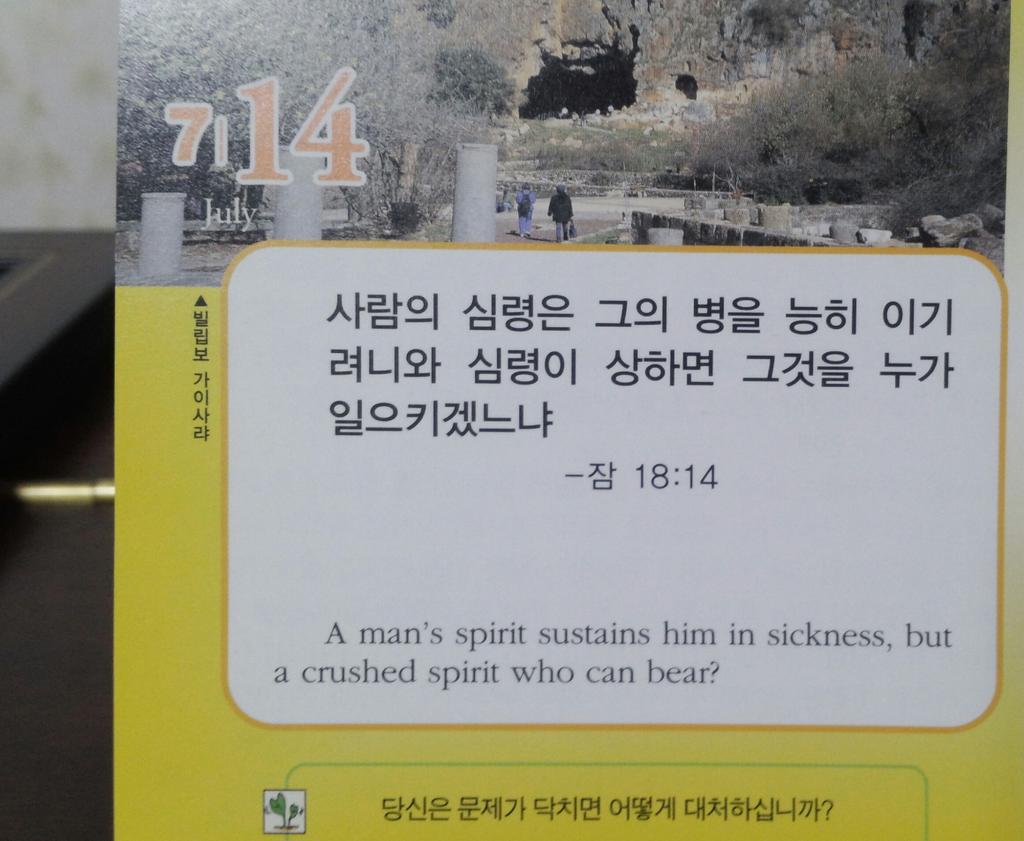 윤선희 (@oryun5212) on Twitter photo 