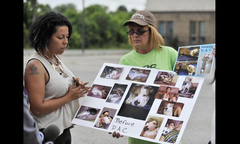 Woman Says Detroit Animal Control Neglected her Dog vytm.in/_MMYTw