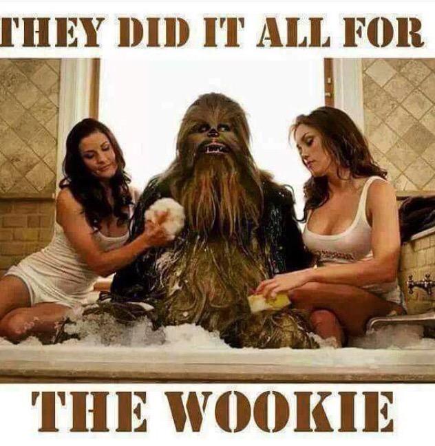 MutinyOwner's tweet image. 