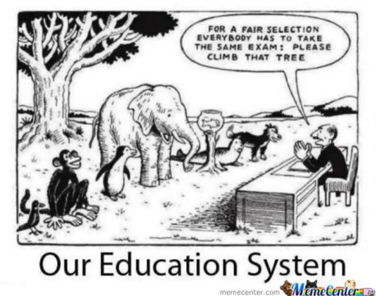 kimpossible__77's tweet photo. "If You Judge a Fish by Its Ability to Climb a Tree, It Will Live Its Whole Life Believing that it is stupid." http://t.co/0blVTAmrbC