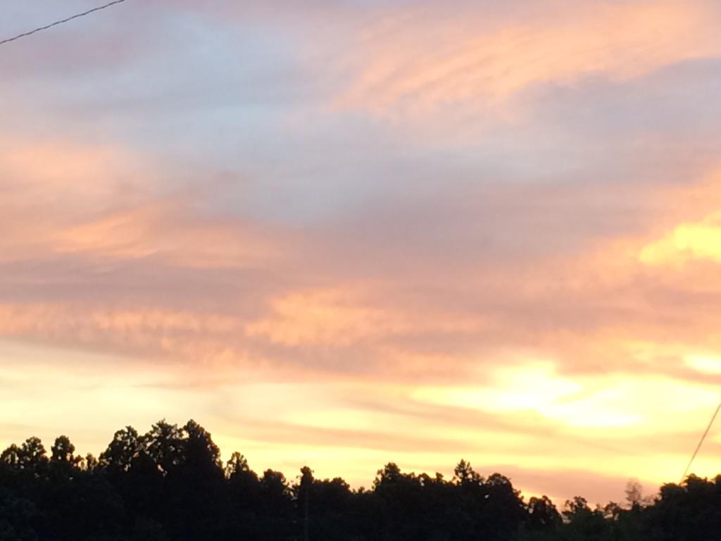 幸せな歳をとるために、一緒に生きていく人に感謝の心を少しずつ伝えていく生き方。
伝え合う関係、尊敬し合う関係。
何でも話し合える生きたかしましょ。