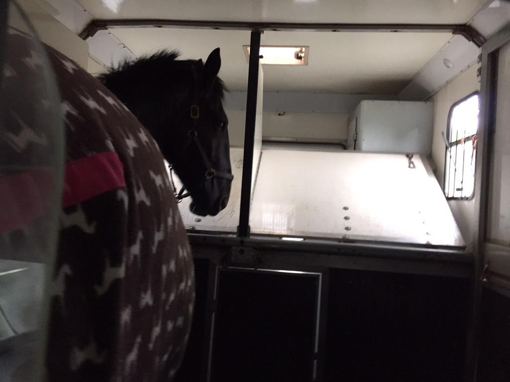 equi_move's tweet photo. Emergency call out to Rainbow vets with Seven .
07815848105 save our number you never know when you may need it! 🐎🐎 http://t.co/FdOdojymbX