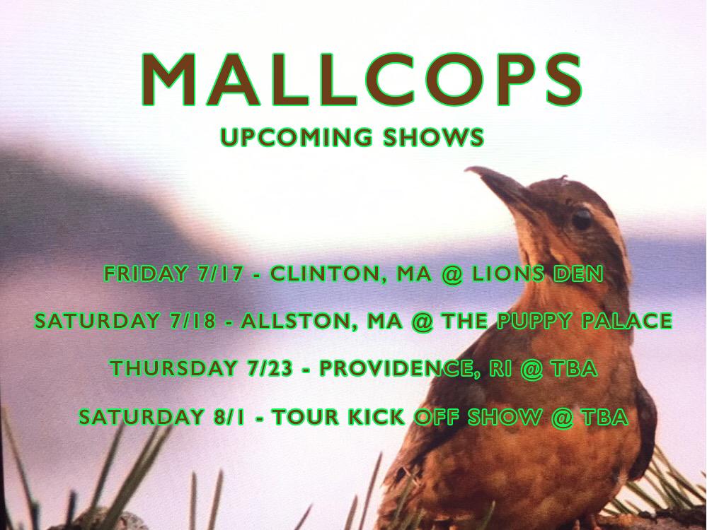 MallcopsArchive tweet picture
