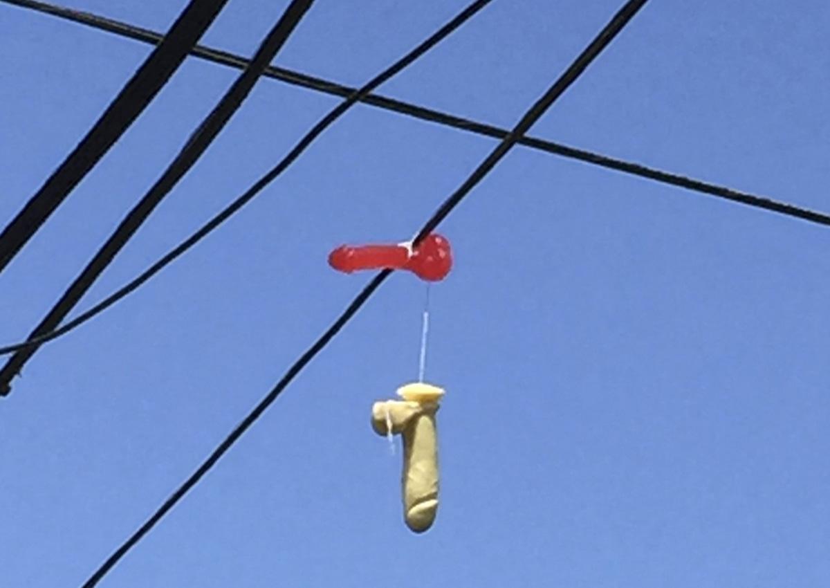 asiaonecom's tweet photo. Hundreds of sex toys dangling from power lines in Portland, Oregon http://t.co/bI73IG1oV8 http://t.co/3bC1h8u9k9