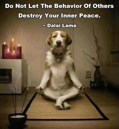 Flo2s_Spa's tweet image. Do not let the behavior of others destroy your inner peace. #wellnesshumor