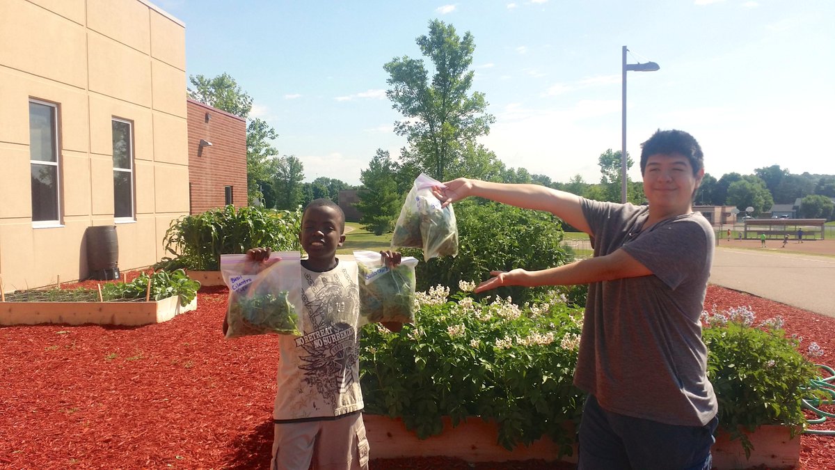 ISD717's tweet photo. Students in our summer program harvested herbs and greens from the JHS Ed Garden to bring home! #SHIPGRANT @mnhealth http://t.co/ZcdfPwgUP7
