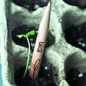 tsgchile's tweet photo. Lápiz 100% biodegradables.#ecología #Sustentabilidad http://t.co/2NGdumE5br http://t.co/ls6XA3yDOu