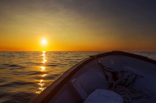 The scariest thing about distance is that you dont know whether they"ll miss you or forget you