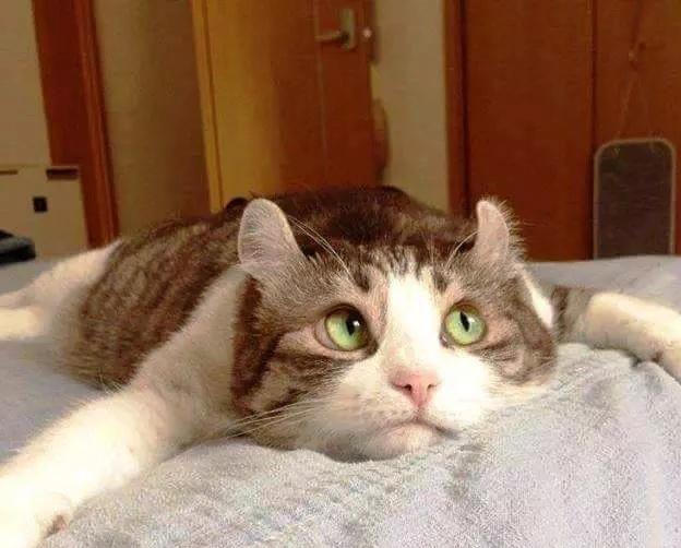 mevalesbrga's tweet photo. Yo esperando a que me contestes http://t.co/Gimb31NLqE