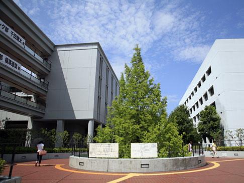 大学情報カレイン Marlenezakaria Twitter