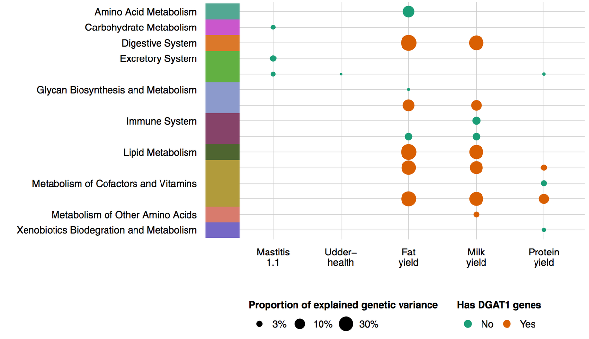 iysik_com's tweet photo. Paper finally out! Partitioning of genomic variance by pathways http://t.co/ZGdtZLXgqO #geneticsselectionevolution http://t.co/DDOSSbc8bQ