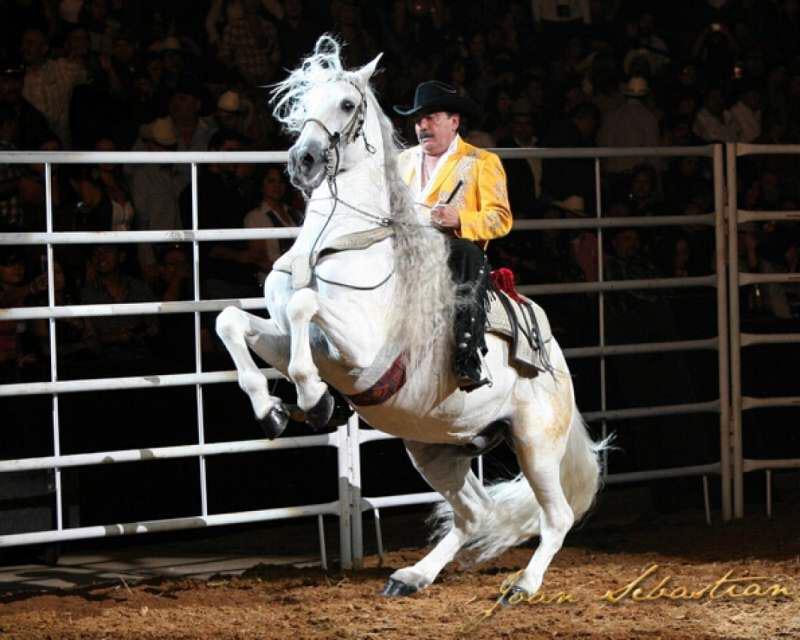 fernandoandra28's tweet image. #MePongoSentimental cuando hay cielo gris 😔💔