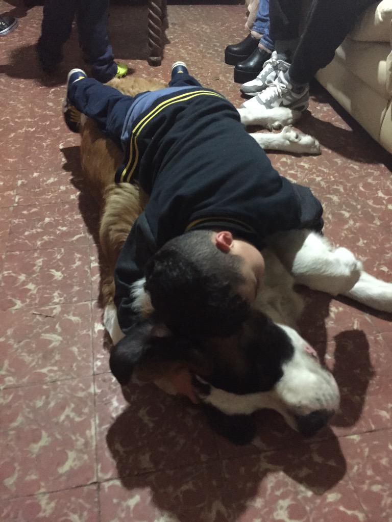 loloestoyanoff's tweet photo. Los perros son como los críes tyson es todo amor . http://t.co/NI146hdvh9