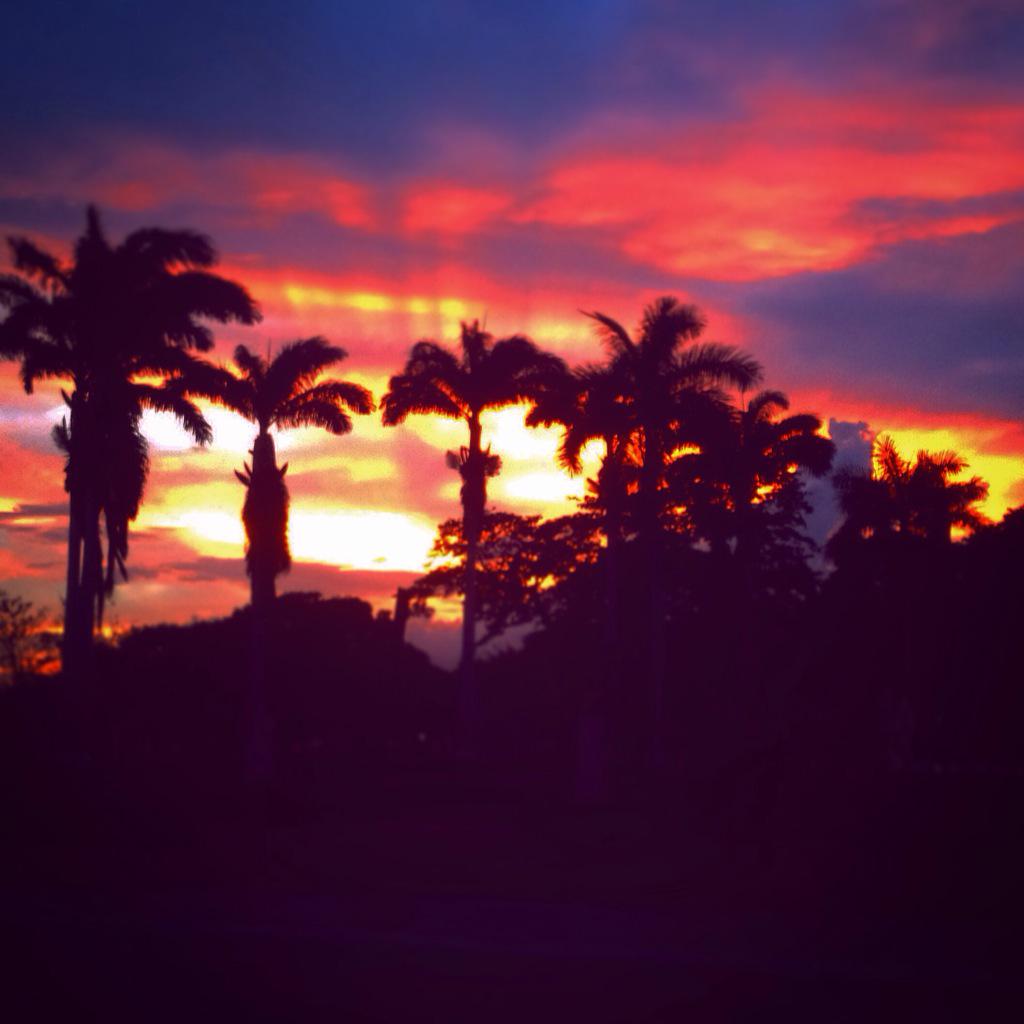 bazilmusic's tweet image. Good night #jamaica #sunset #hoperoad