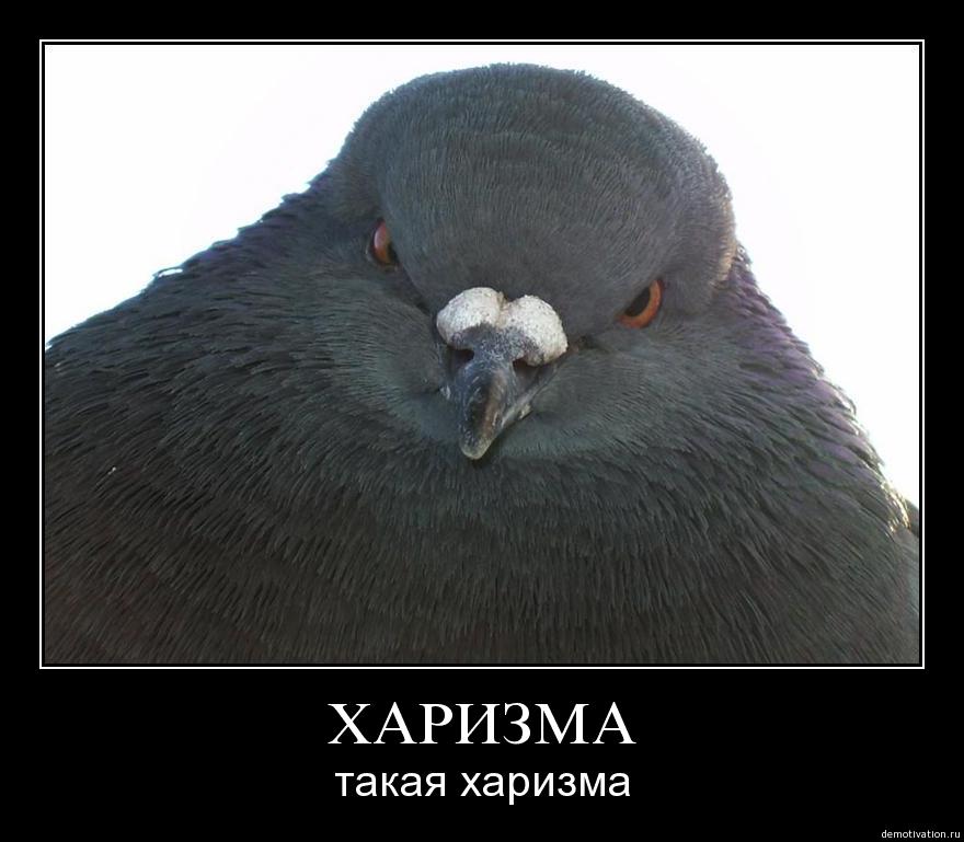 Для бани, картинки с надписью че ты смотришь на меня