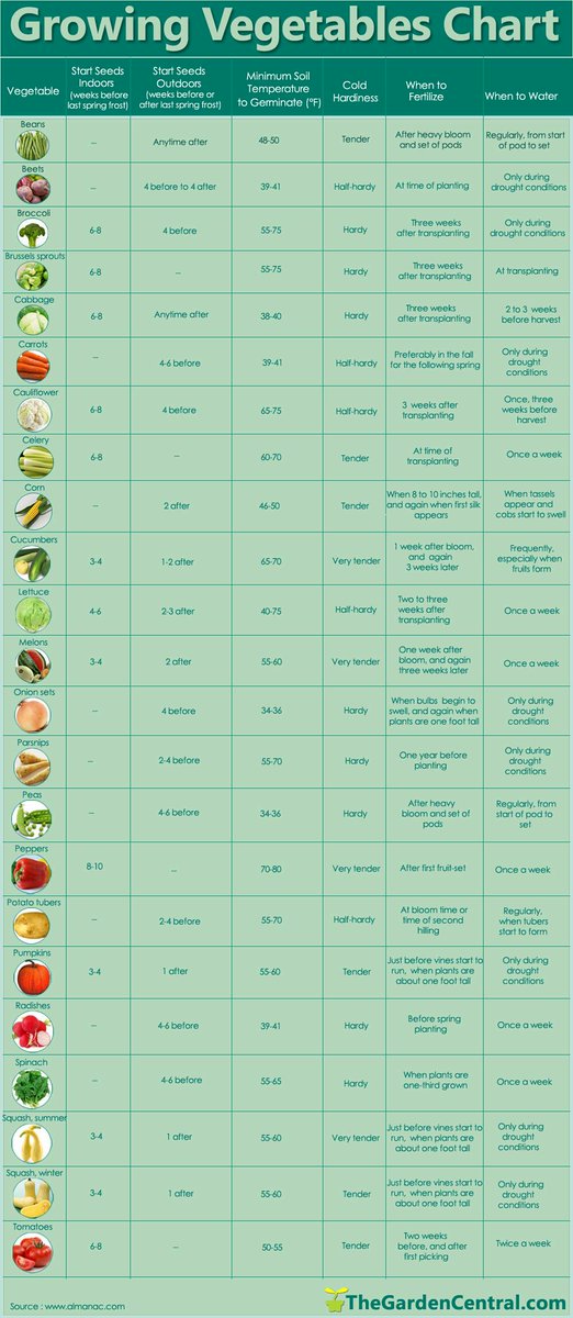 FunOnFarm's tweet photo. A great chart for growing vegetables. http://t.co/4Hdo27tr02