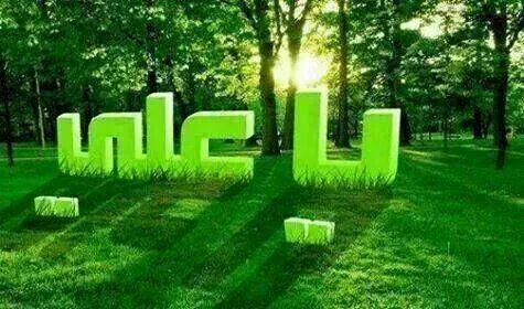 112233aaaaaaaaa's tweet photo. ياعلي مدد http://t.co/EirbO42afI