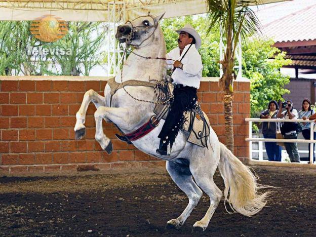 Joeper Rey Rojas Televisa Televisión on Twitter: