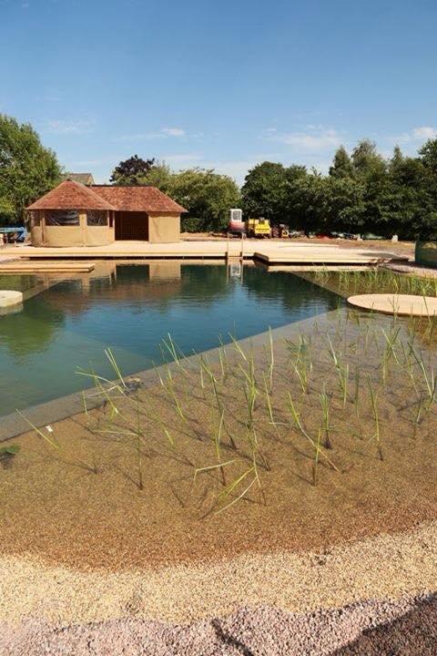 GIABNorg's tweet image. GIABNorg: Naturalpoolsuk: Just off to plant our latest #naturalpool today, more #reeds #oxygenators. #Marginals go…