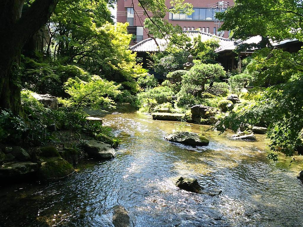 京都のがんこにはキレイな庭が有ります！オススメ！