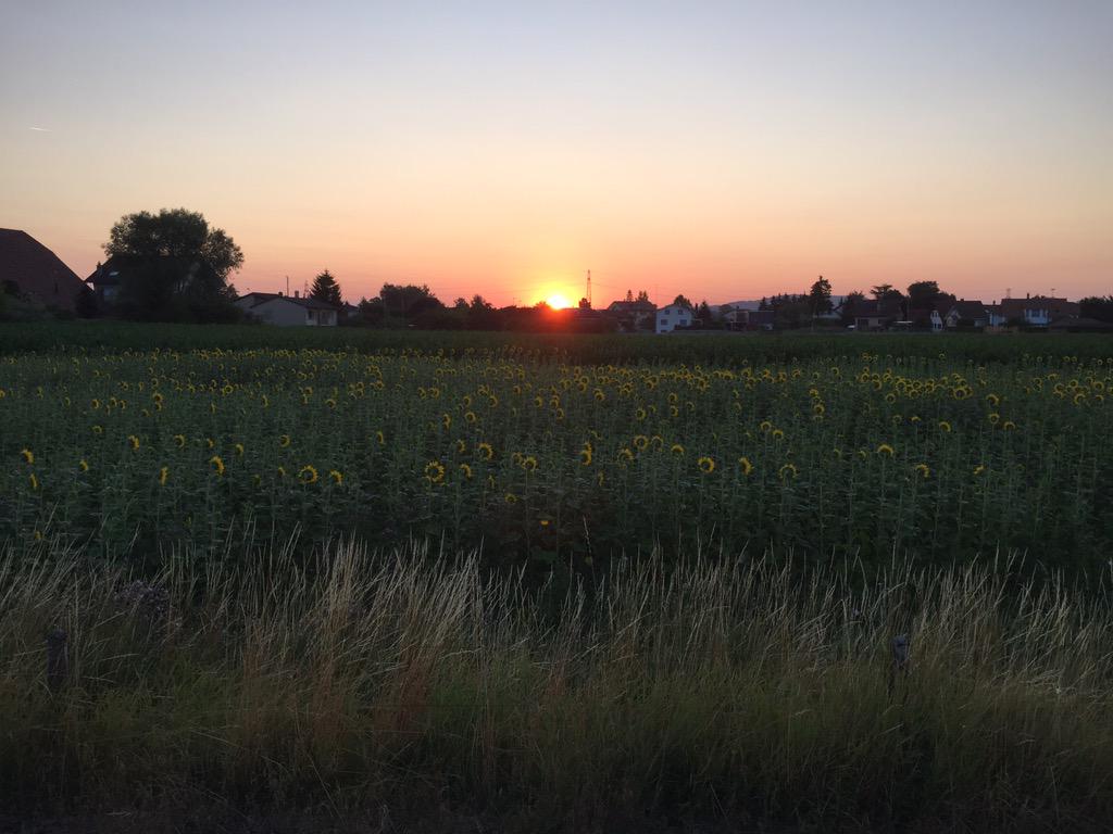 Urs von Gunten tweet media