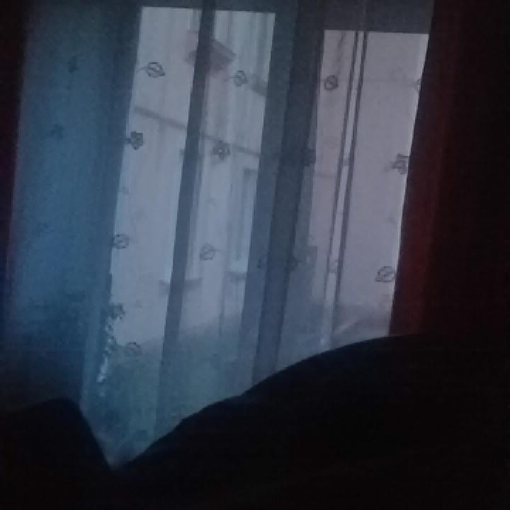 I wanted to go to sleep early, but when has already become light 🌅😴😂 4:10am #sleep #goodmorning