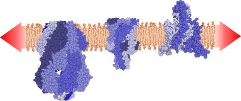 online chemical modelling volume 13