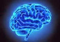 ALZHEIMERSread tweet picture