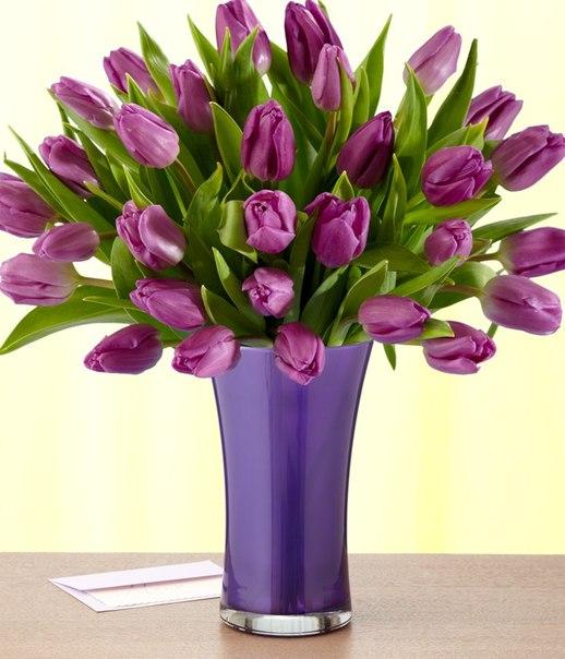 Букет из ревности... скандалов и обманов нам дарят чаще, чем красивые цветы...
Хочу букет из фиолетовых тюльпанов...