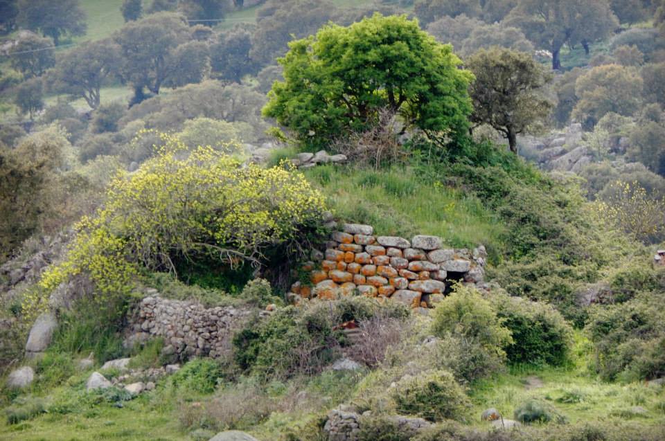 TerradiSardegna's tweet photo. Una capatina a uno dei gioiellini archeologici di Osidda non ce la facciamo mancare!#NuragheLaonidde #Osidda(D.Carru) http://t.co/YCPAHfnbVO
