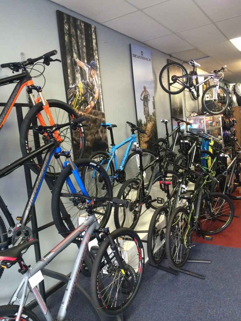 New silverbacks in store