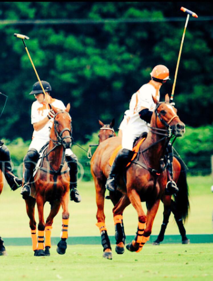 Heading for <a href="/CowdrayEstate/">Cowdray Estate</a> today <a href="/jaegerlecoultre/">Jaeger-LeCoultre</a> #GoldCup <a href="/Sifanipolo/">VPSHealthcare Sifani</a> v <a href="/KingPowerPolo/">King Power Polo</a> 3pm AshtonCup <a href="/ImagesofPolo/">Images of Polo</a>