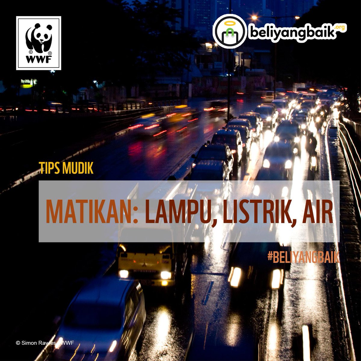 WWF_ID's tweet photo. Tips #mudik 01. Matikan Lampu, Listrik, dan Air. http://t.co/W4jDeYXgFt