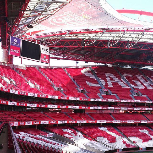 GloriosoSLBApp's tweet photo. #slb #lisboa #lisbon #football #benfica #slbenfica #luz #estádiodaluz #portugal #yeaaaay by harley_quinzel http://t.co/BtHcR6DFq5