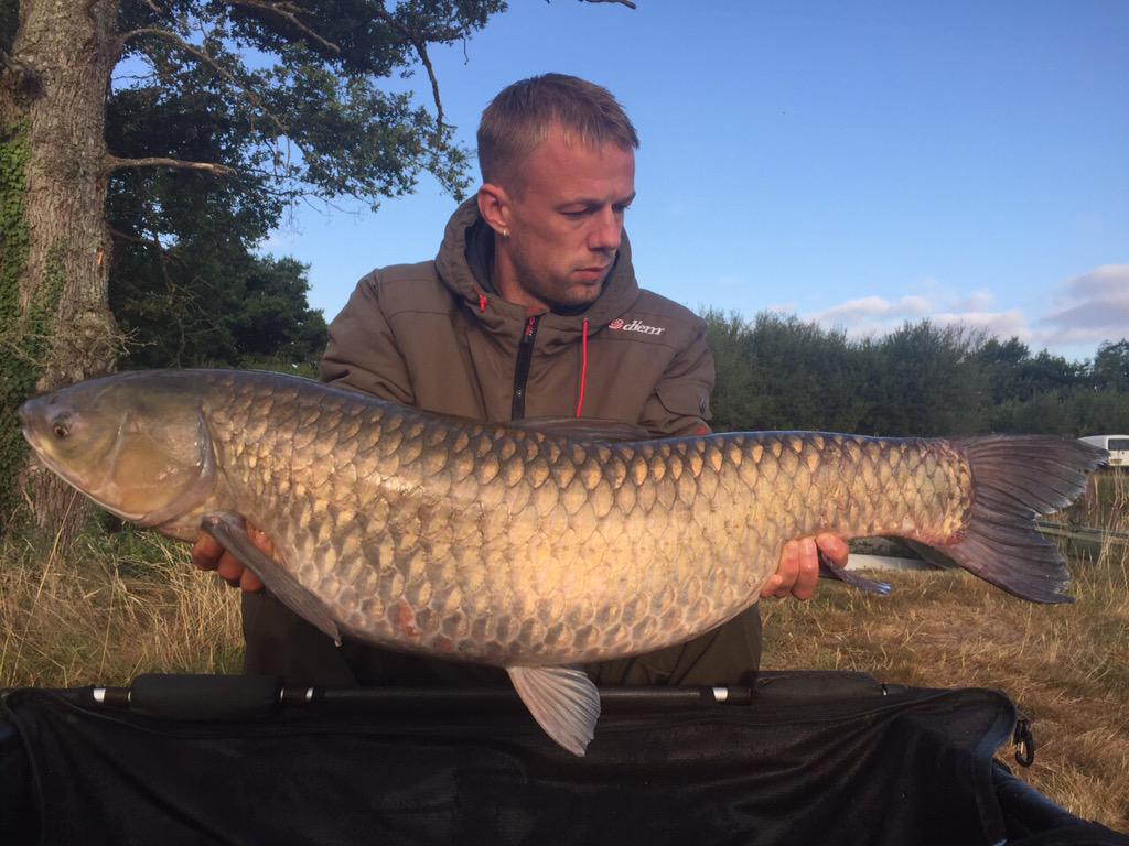 LanceLongman's tweet photo. Buzzing with this beast #grasscarp #bigcarp #carpfishing #fishing @KordaOfficial @jim_shelley http://t.co/0LoAdoyh0U