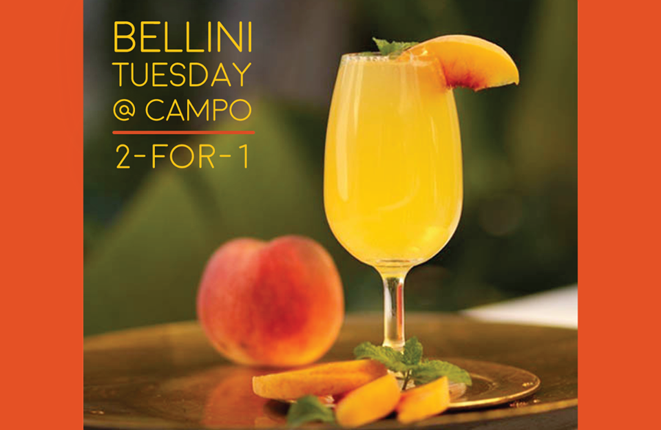 campodefioriirl's tweet photo. Don't forget - it's #BelliniTuesday http://t.co/LLpQaGxK87