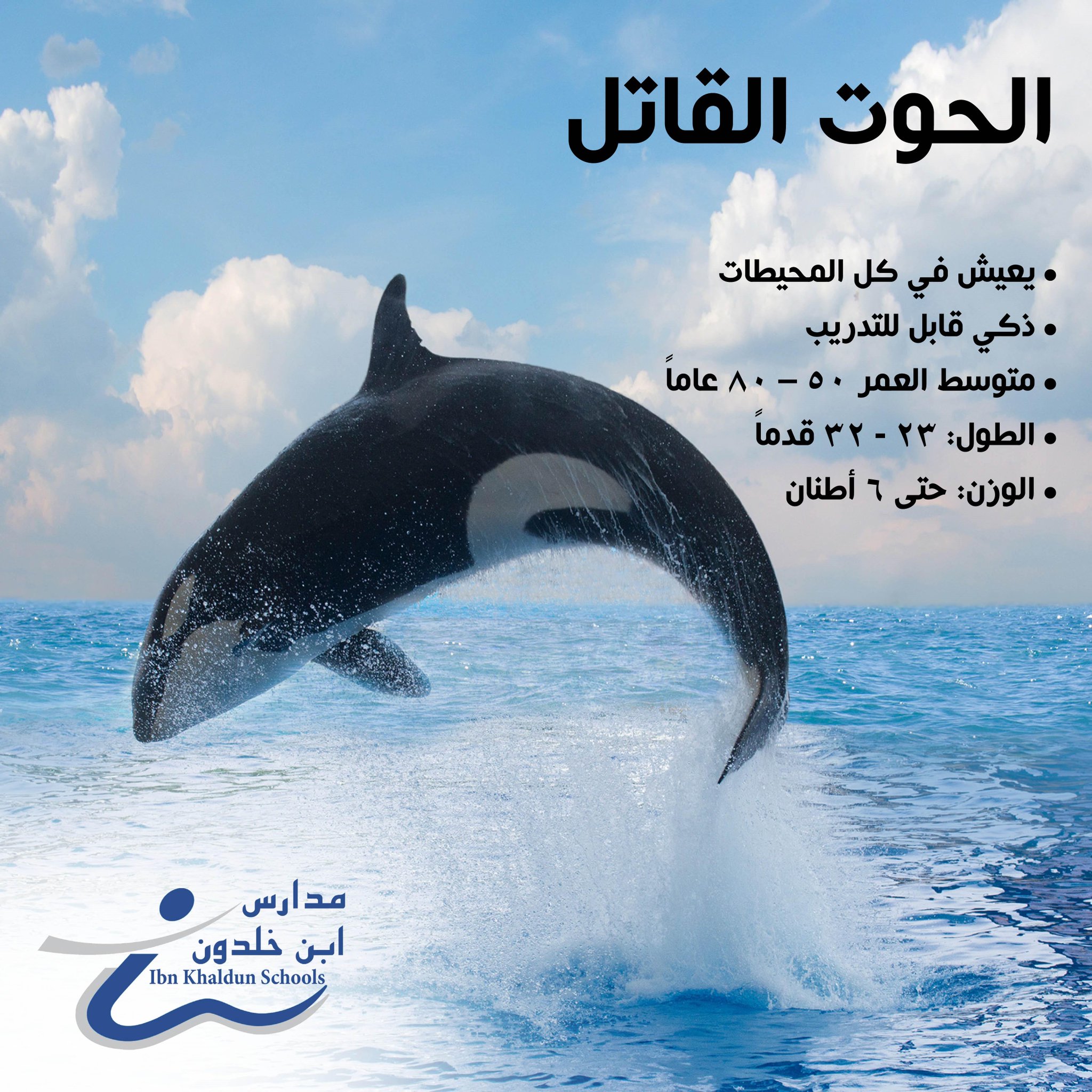 مدارس ابن خلدون V Twitter مدارس ابن خلدون الحوت القاتل أكبر حيوان من فصيلة الدلافين Http T Co Czt2vjxh7z