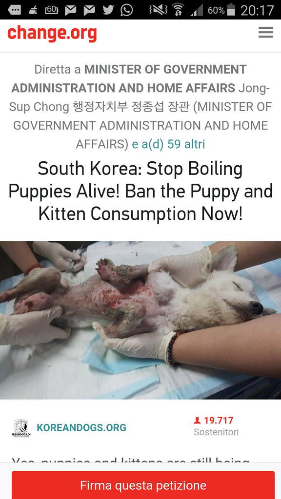 awkward1110's tweet photo. MINISTER OF EDUCATION of #SouthKorea @hwangwygrace : IS THIS YOUR EDUCATION? STOP #animalcruelty #StopKoreanCruelty https://t.co/h3SFeX1o3X